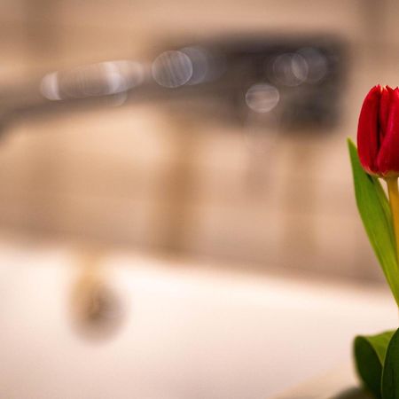 Logis Hotel Quartier 5, Saechsische Schweiz, Mit Restaurant, Cafe & Bar Kurort Gohrisch Εξωτερικό φωτογραφία