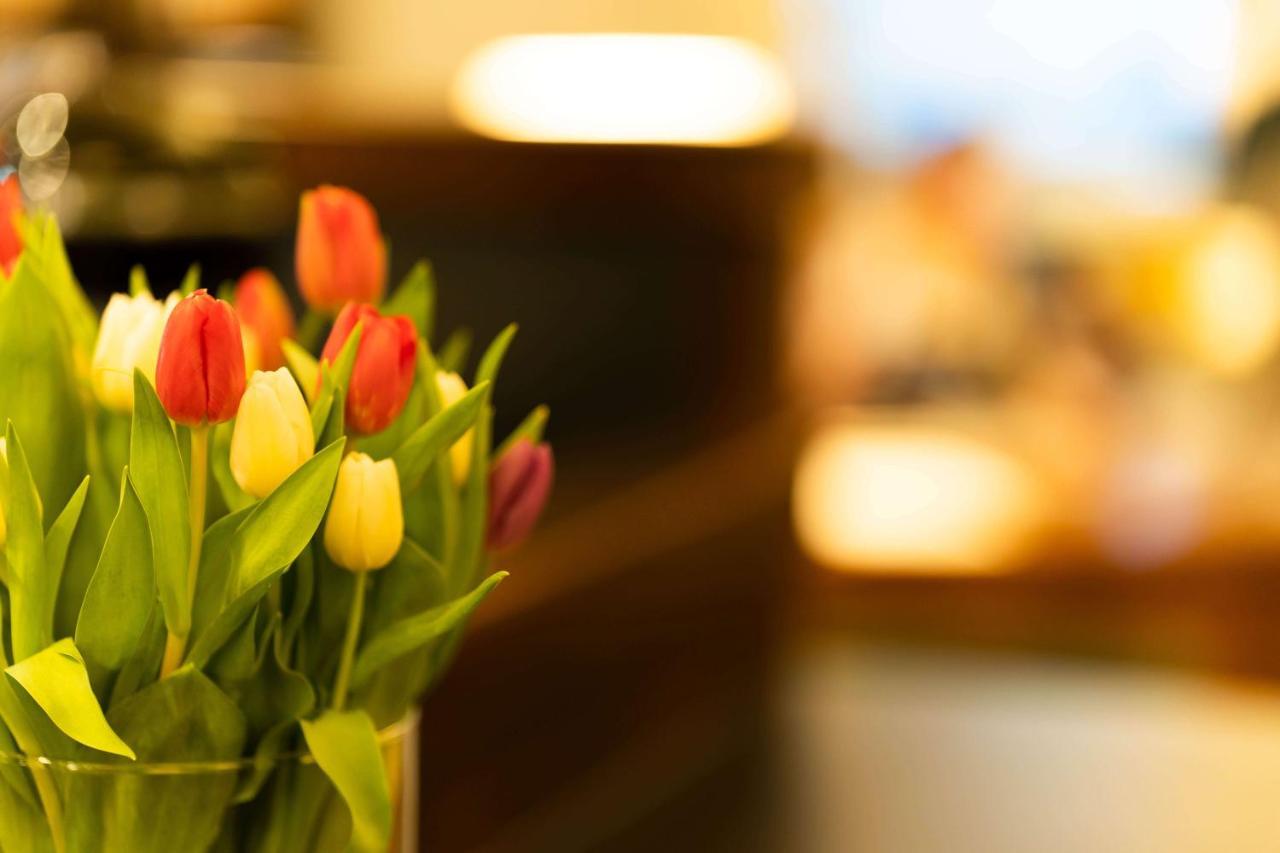 Logis Hotel Quartier 5, Saechsische Schweiz, Mit Restaurant, Cafe & Bar Kurort Gohrisch Εξωτερικό φωτογραφία