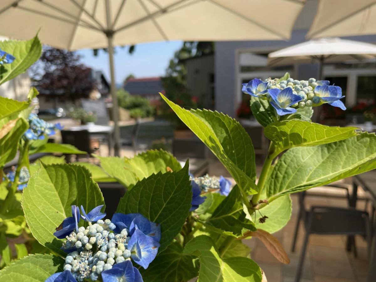 Logis Hotel Quartier 5, Saechsische Schweiz, Mit Restaurant, Cafe & Bar Kurort Gohrisch Εξωτερικό φωτογραφία