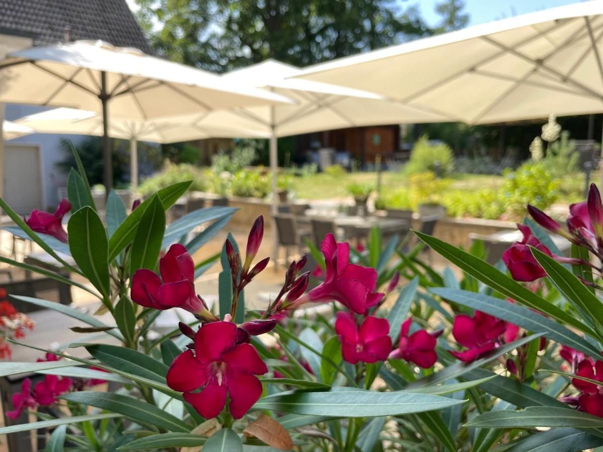 Logis Hotel Quartier 5, Saechsische Schweiz, Mit Restaurant, Cafe & Bar Kurort Gohrisch Εξωτερικό φωτογραφία
