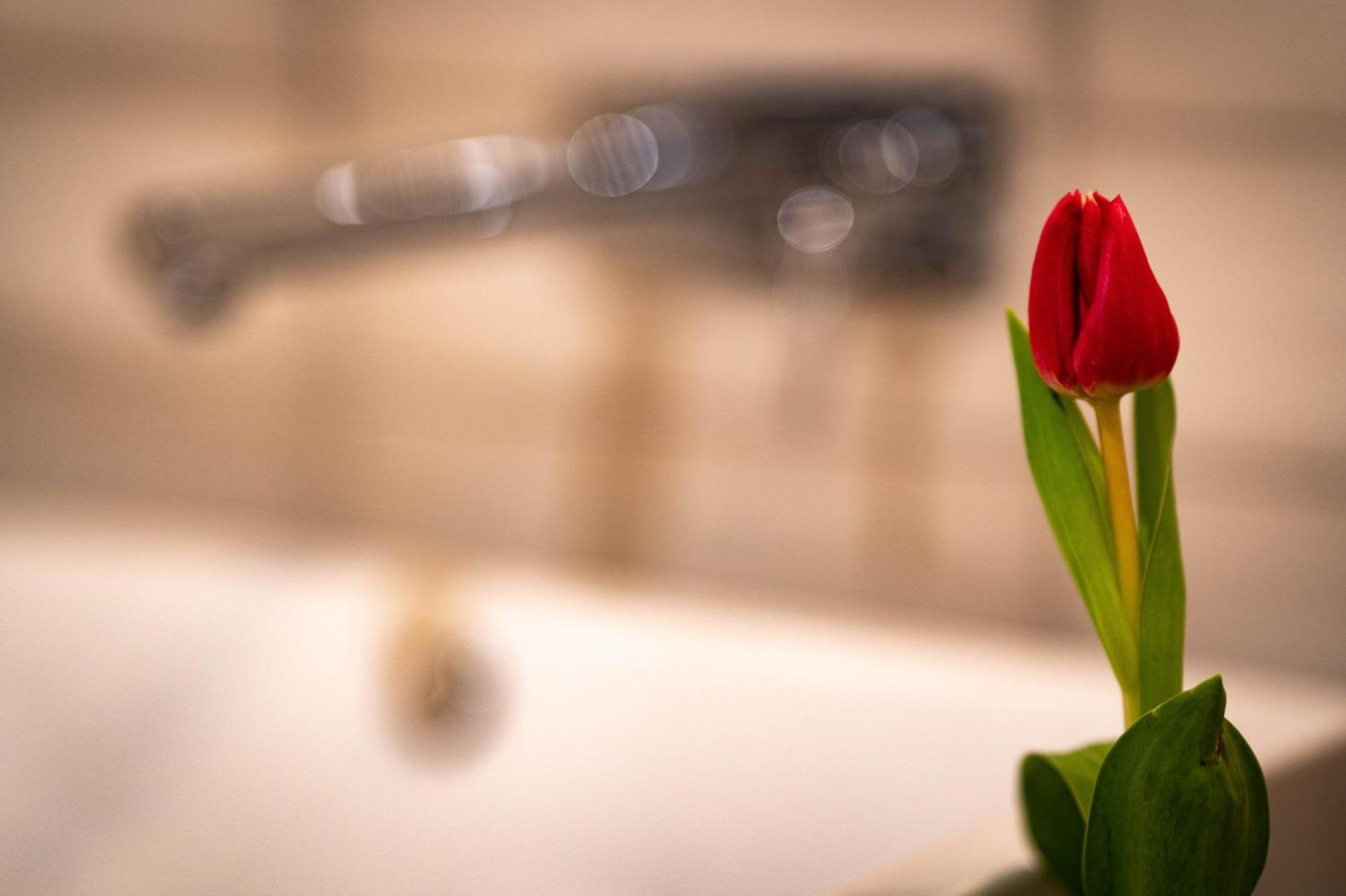 Logis Hotel Quartier 5, Saechsische Schweiz, Mit Restaurant, Cafe & Bar Kurort Gohrisch Εξωτερικό φωτογραφία